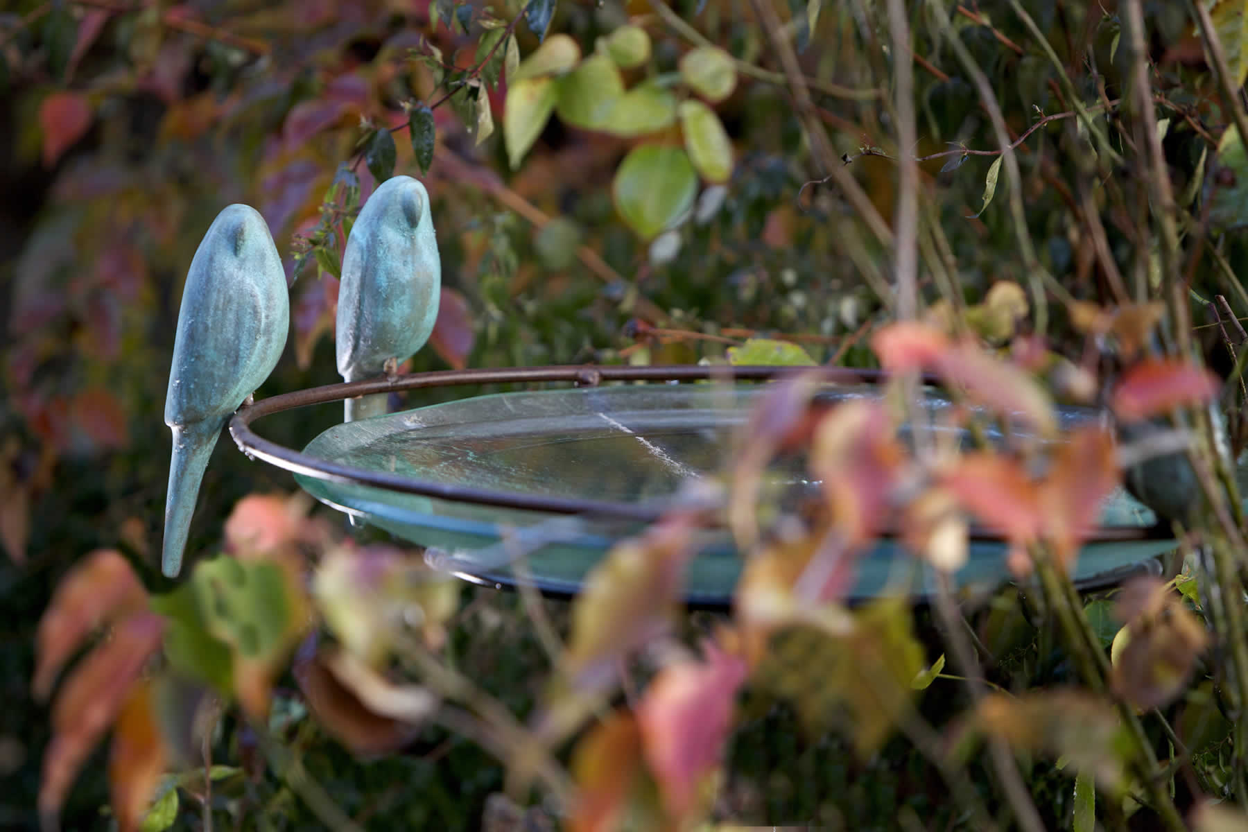Glass and bronze birdbath (detail)